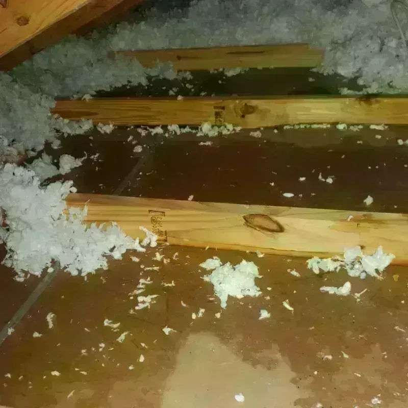 Attic Water Damage in Holladay, UT